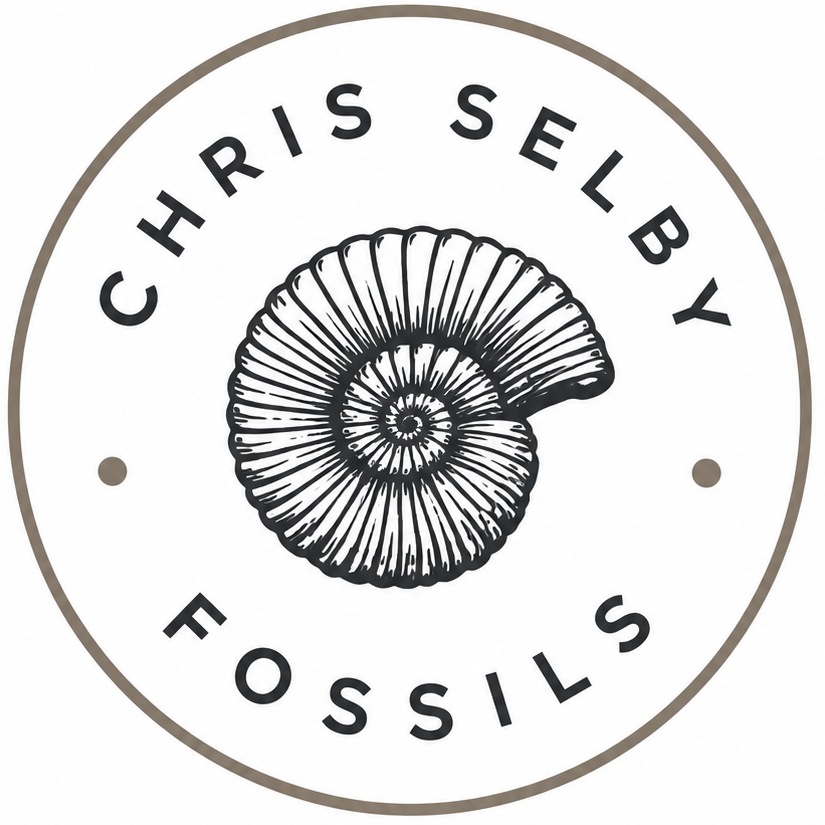 Chris Selby Fossils